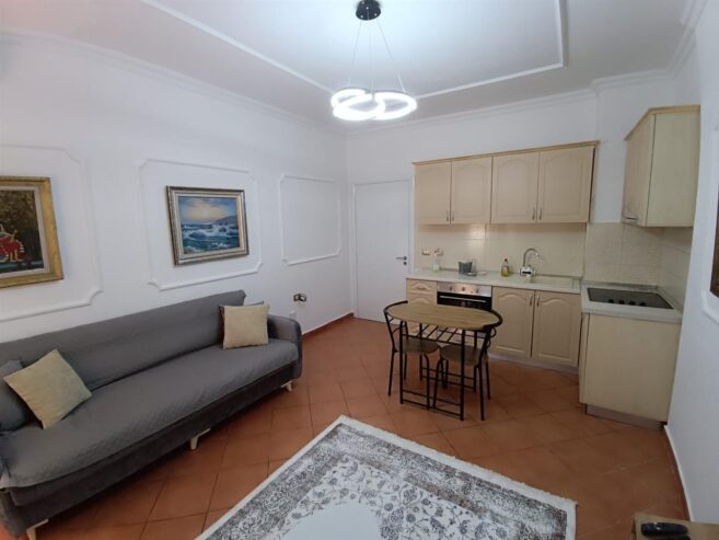 Jepet me Qera Apartament 1 + 1 te Liqeni Artificial