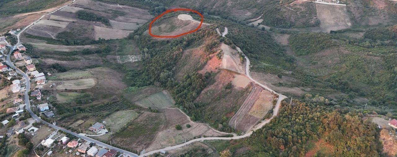 SHITET TOKE KEPI I RODONIT