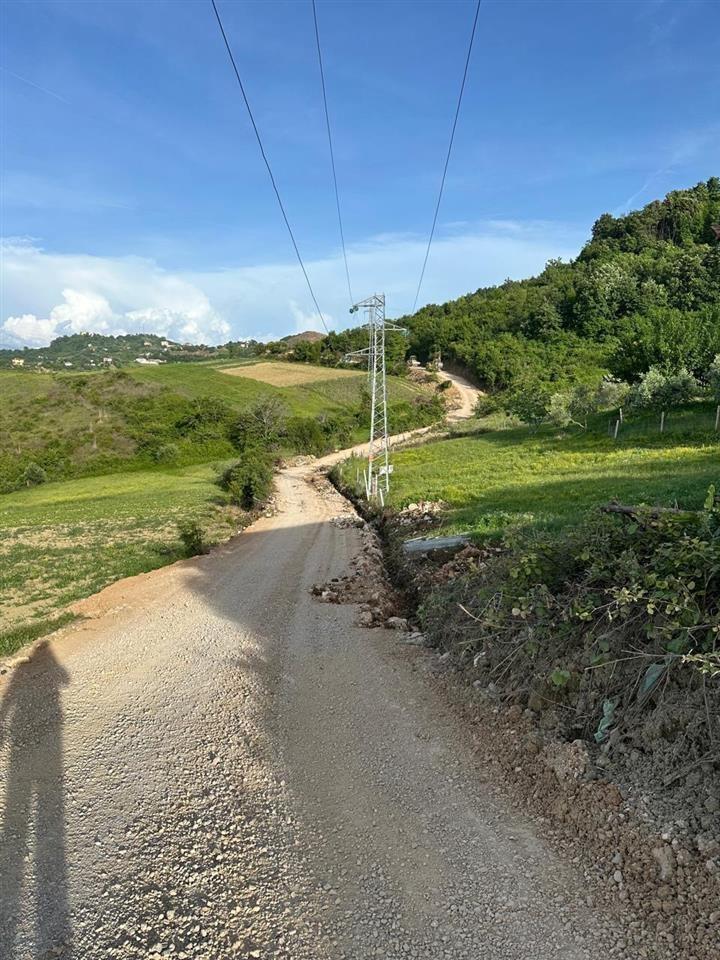 SHITET TOKE KEPI I RODONIT