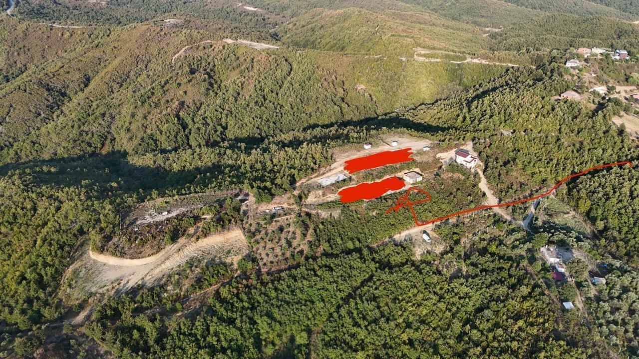 SHITET VILE GJIRI I LALEZIT