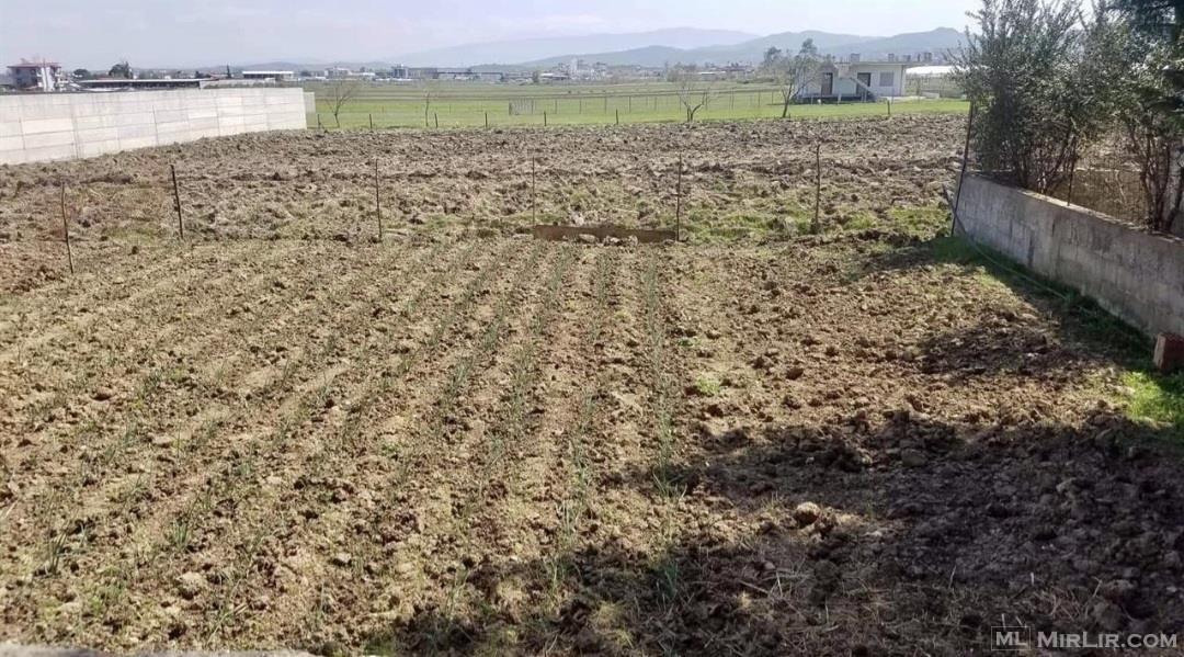 SHITET SHTEPIA 1 KATESHE NE PROCES NDERTIMI , PORTEZ FIER