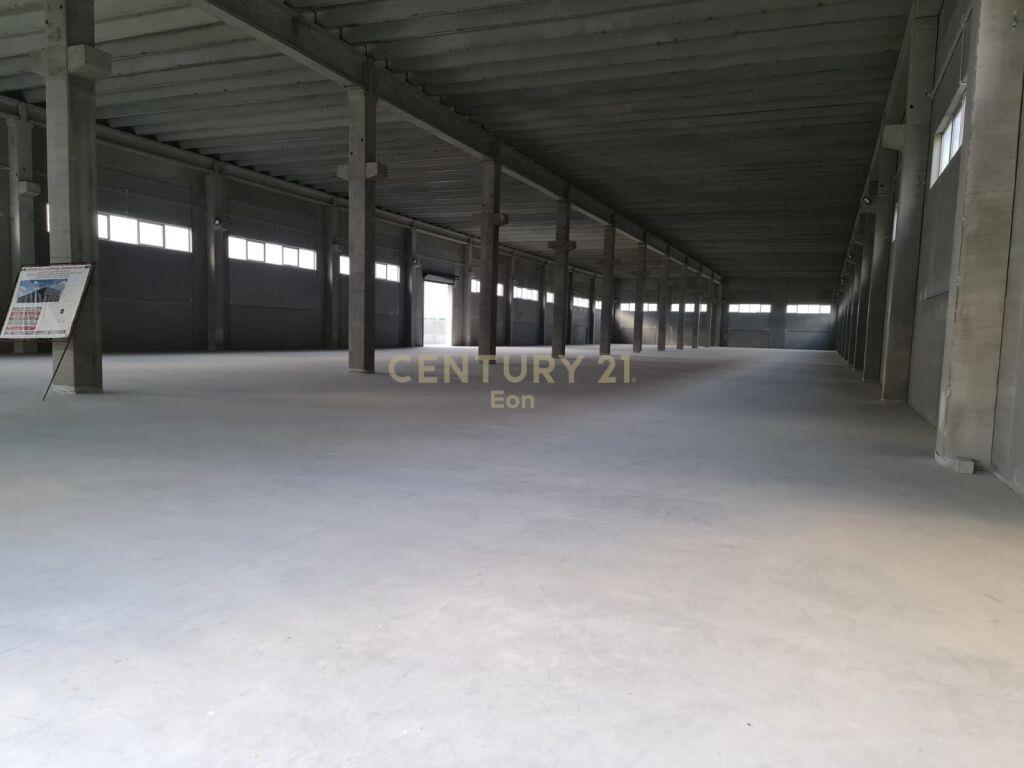 JEPET ME QIRA KAPANON NE AUTOSTRADEN TIRANE -DURRES !