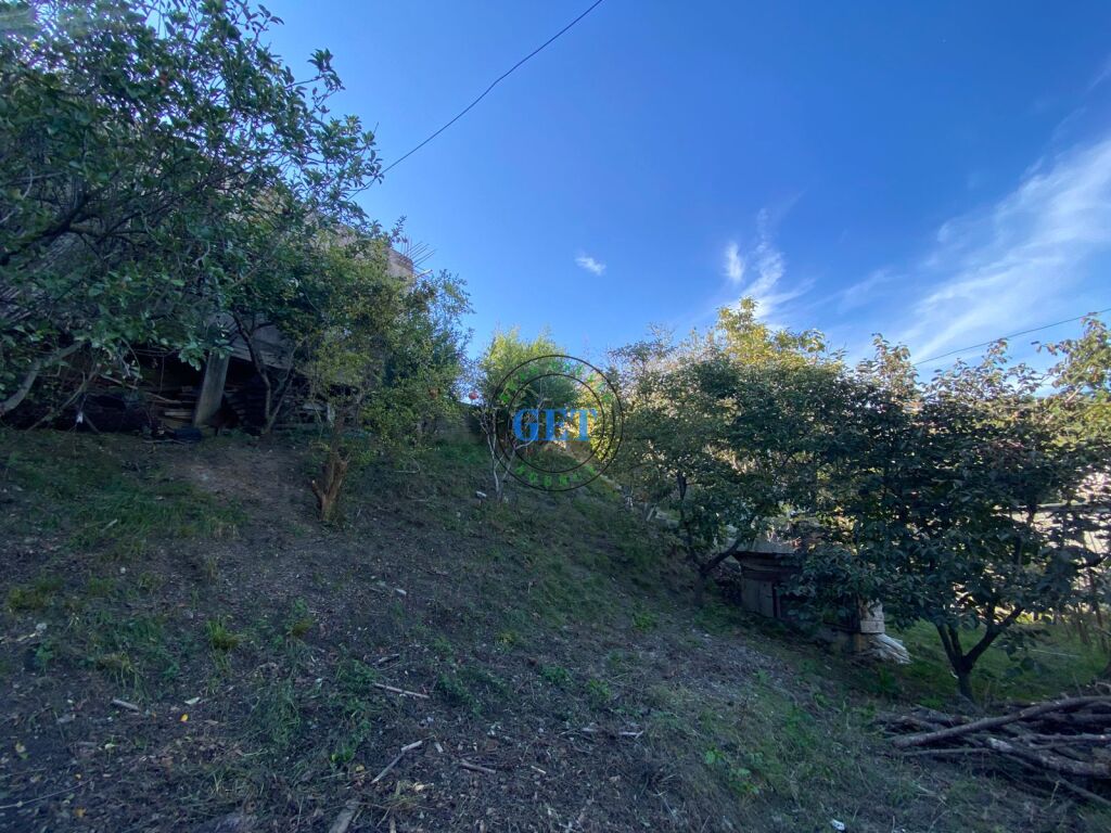 Shitet, Shtepi Private, Muzeumi,Durres