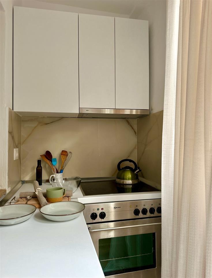 Apartament teresisht i rinovuar prane Liqenit Artificial