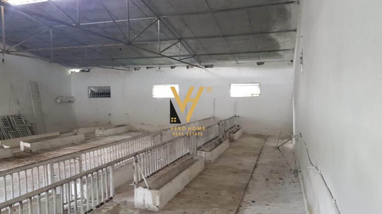 FERME 1.400 M2 NE BALDUSHK 300.000 EURO
