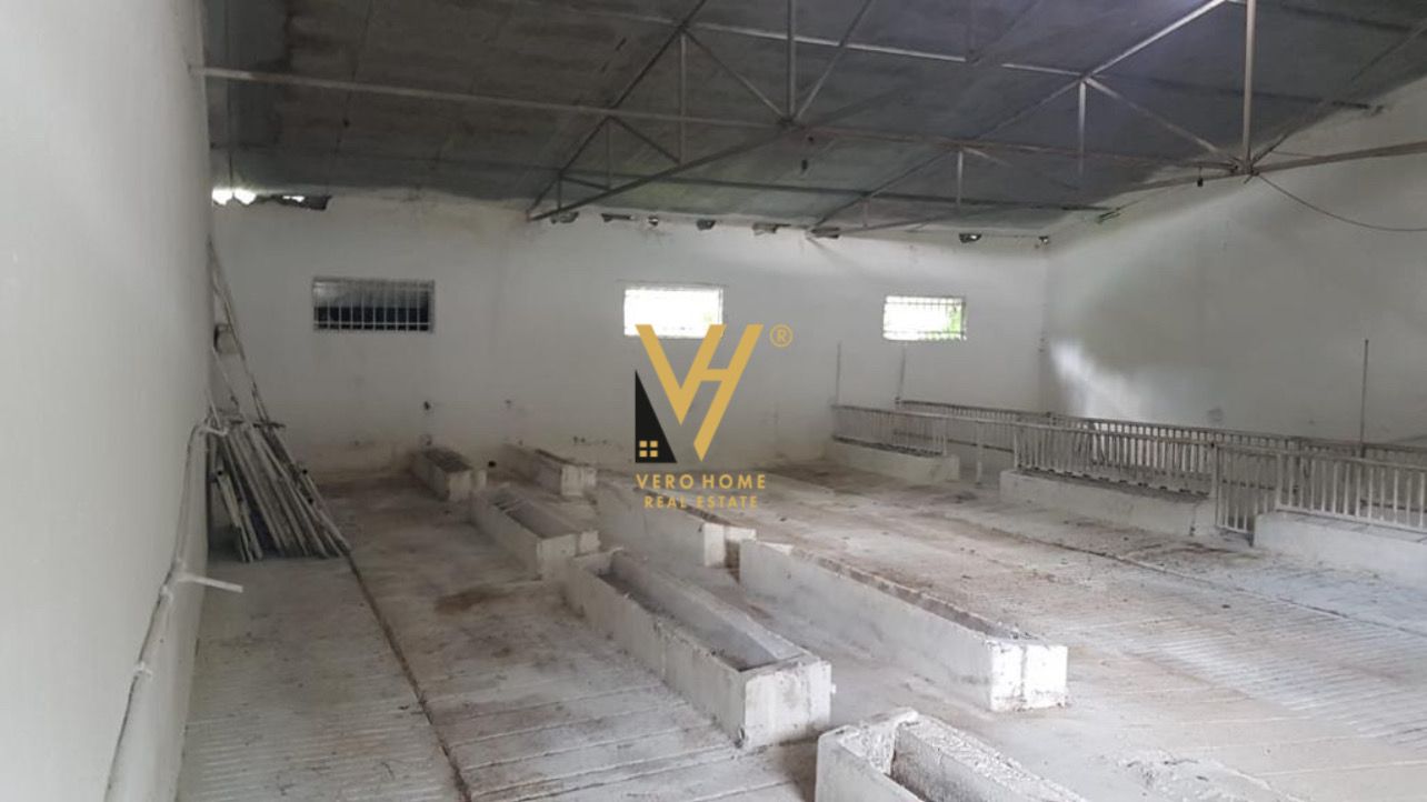 AMBIENT 2.000 M2 NE BALDUSHK 1.600 EURO