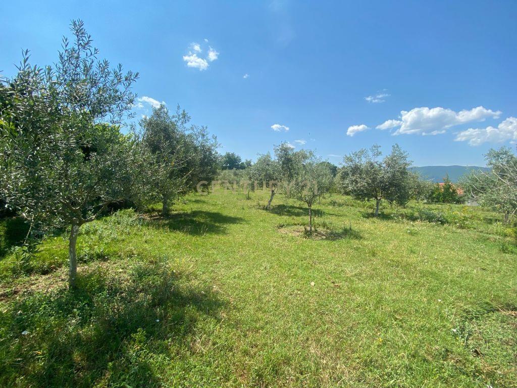 Toke ne shitje 15.000m2 ne Xhafzotaj ku 2000m jane TRUALL‼️