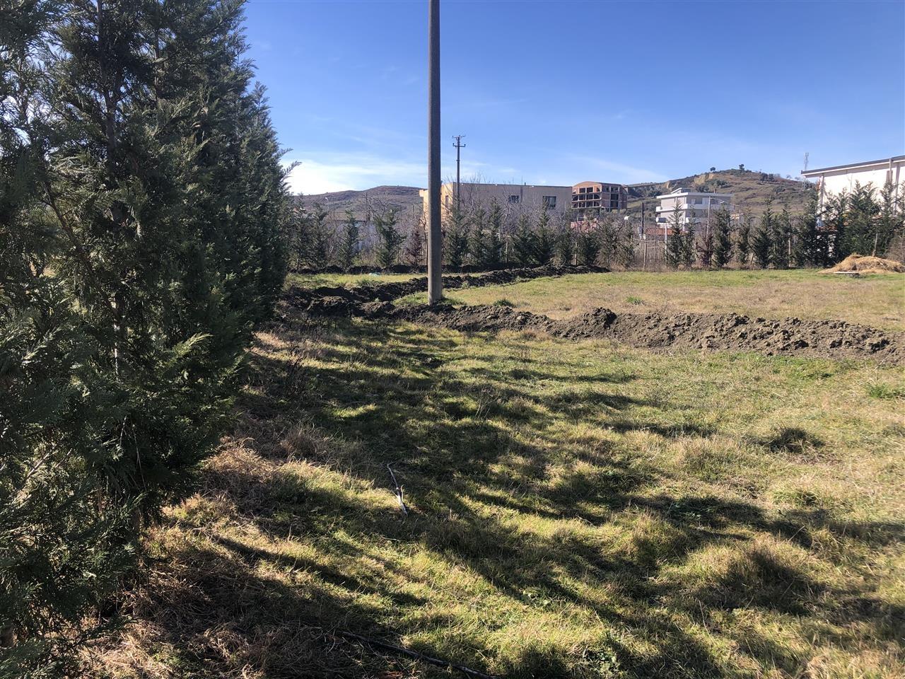 Vilë në tre çezma, Durrës