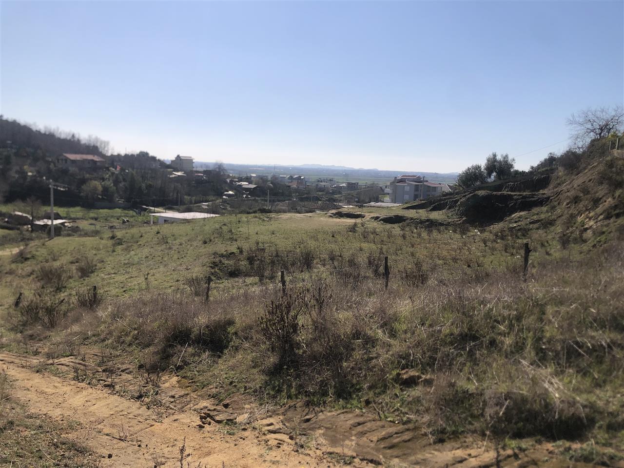 Toke Gjiri Lalzit .Kodër