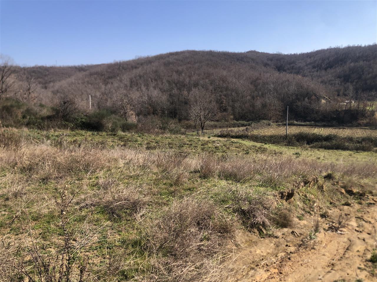 Toke Gjiri Lalzit .Kodër