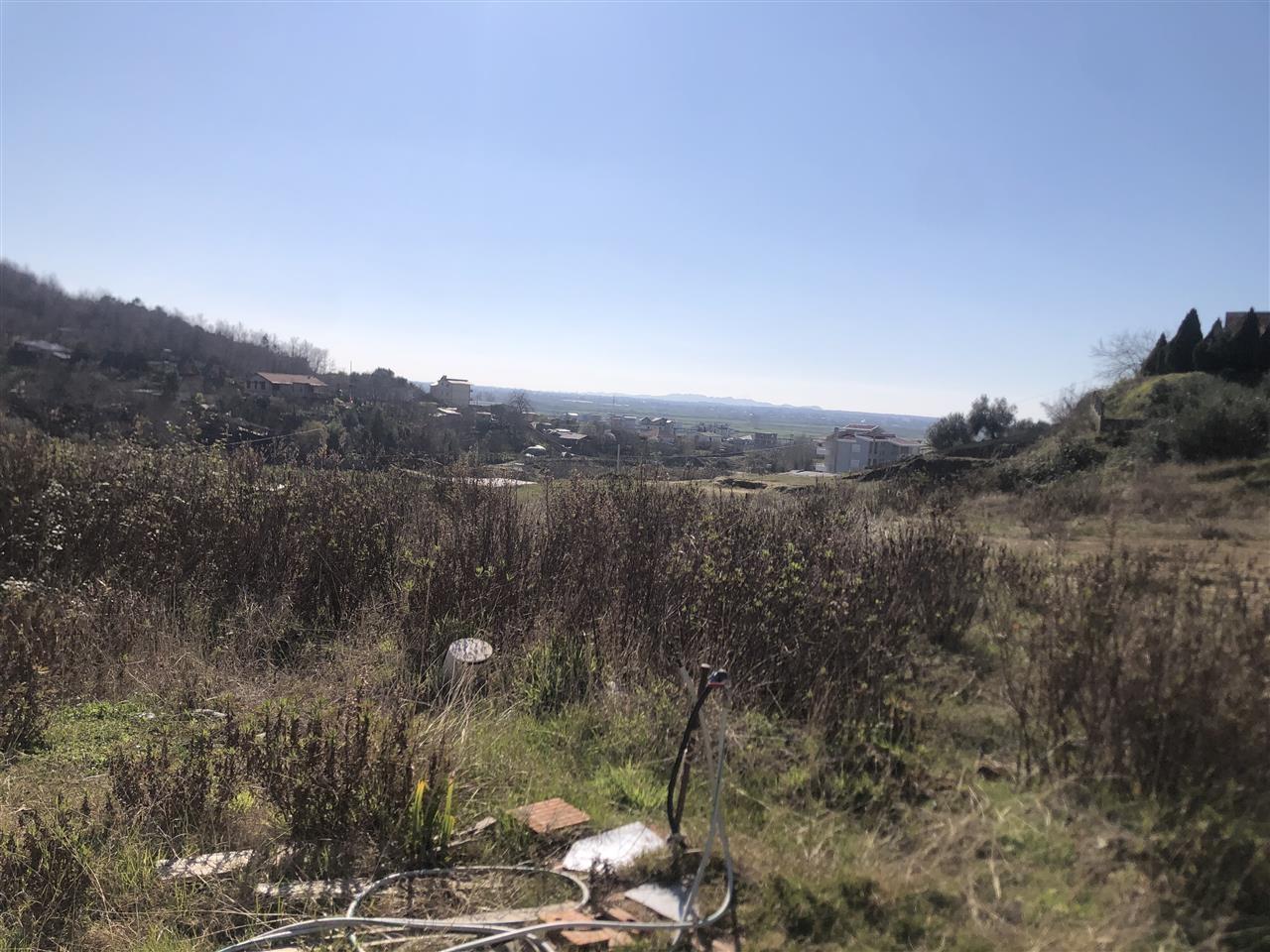 Toke Gjiri Lalzit .Kodër