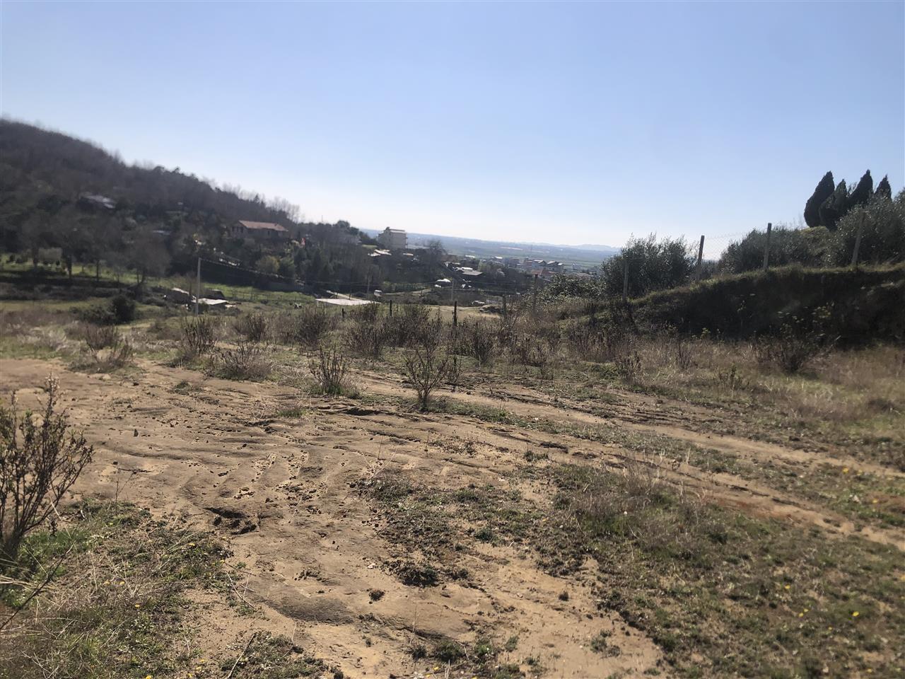 Toke Gjiri Lalzit .Kodër