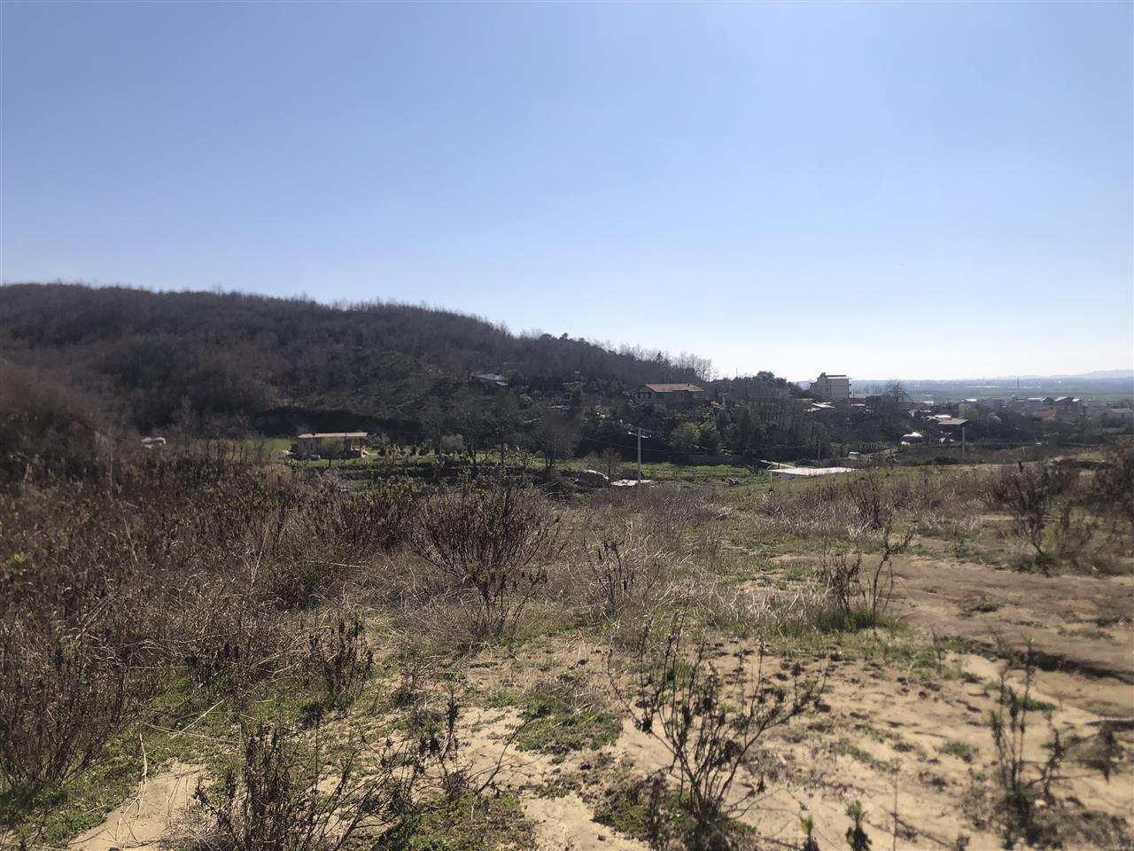 Toke Gjiri Lalzit .Kodër