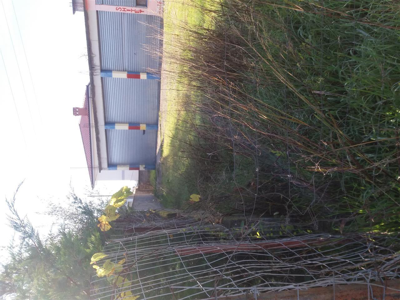 Ndertese 200m katror