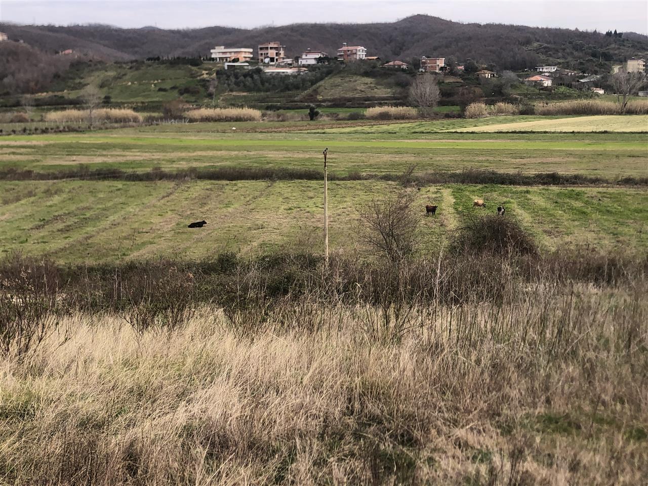 Toke koder gjiri lalzit