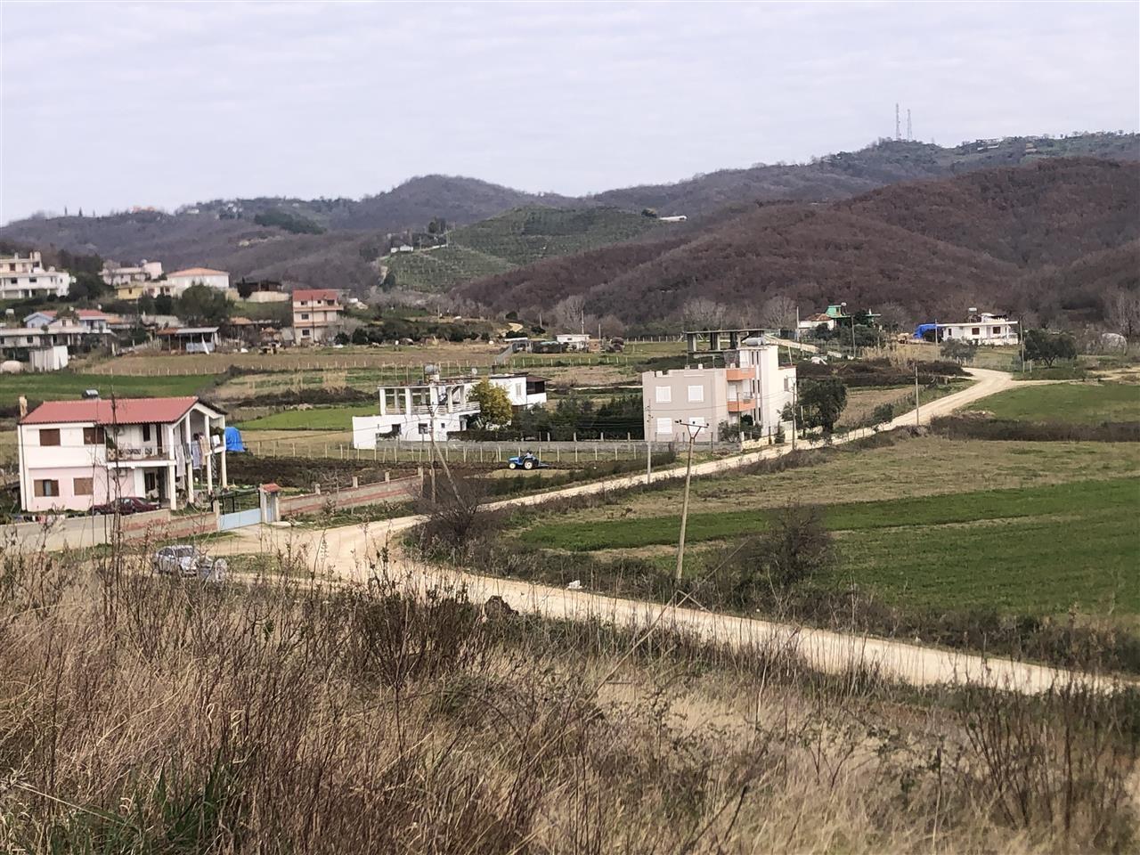 Toke koder gjiri lalzit