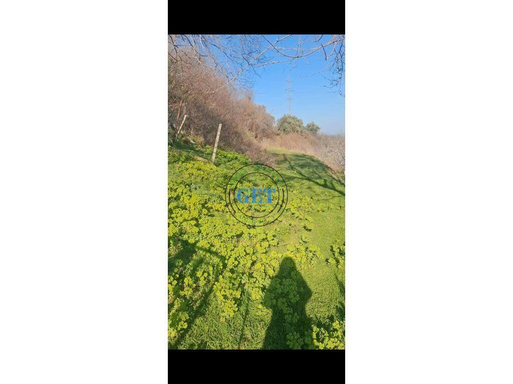 Toke Per Shitje, Kodra Kuajve, Durres