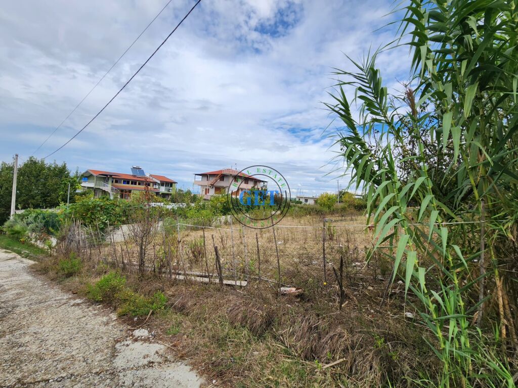 Shitet, Tokë , Arapaj, Durres