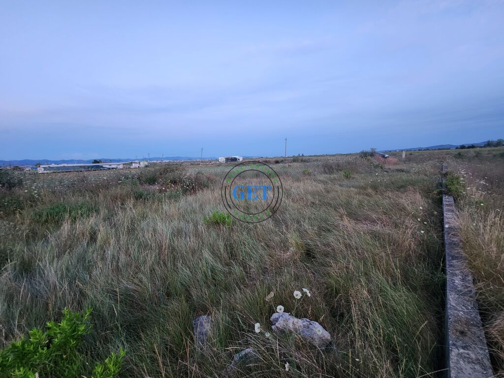 Shitet, Tokë , Karpen, Kavaje