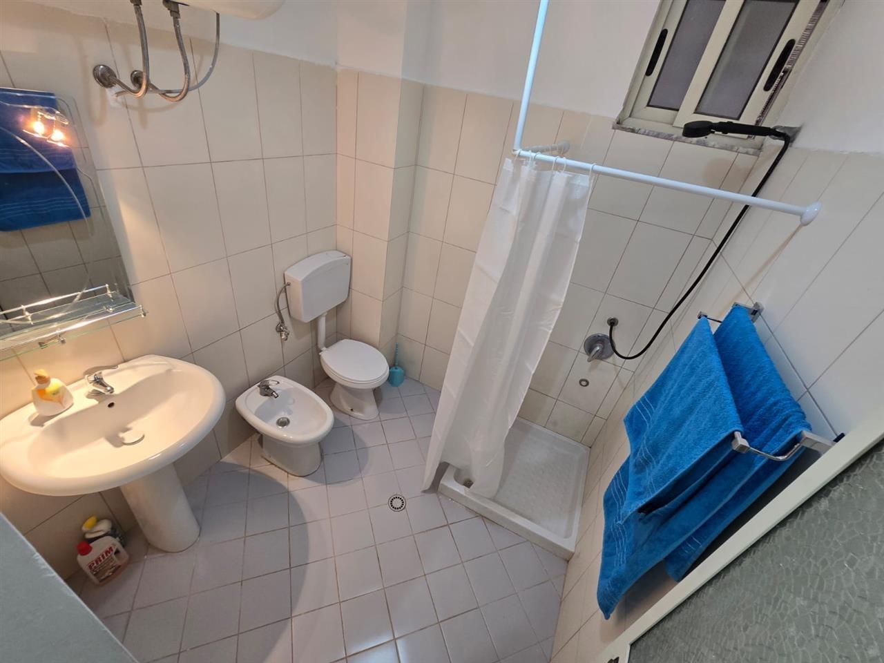 0683753334 Shitet ap 1+1ne plazh