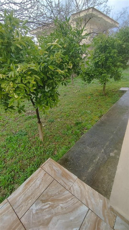 Shitet shtepi private me 500 m2 truall