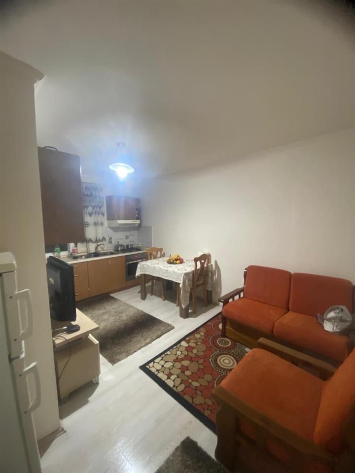 Apartament 1+1 ish parku