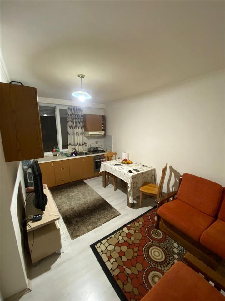 Apartament 1+1 ish parku