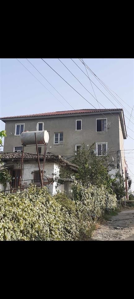 Shitet shtepi ne qeder te patosit