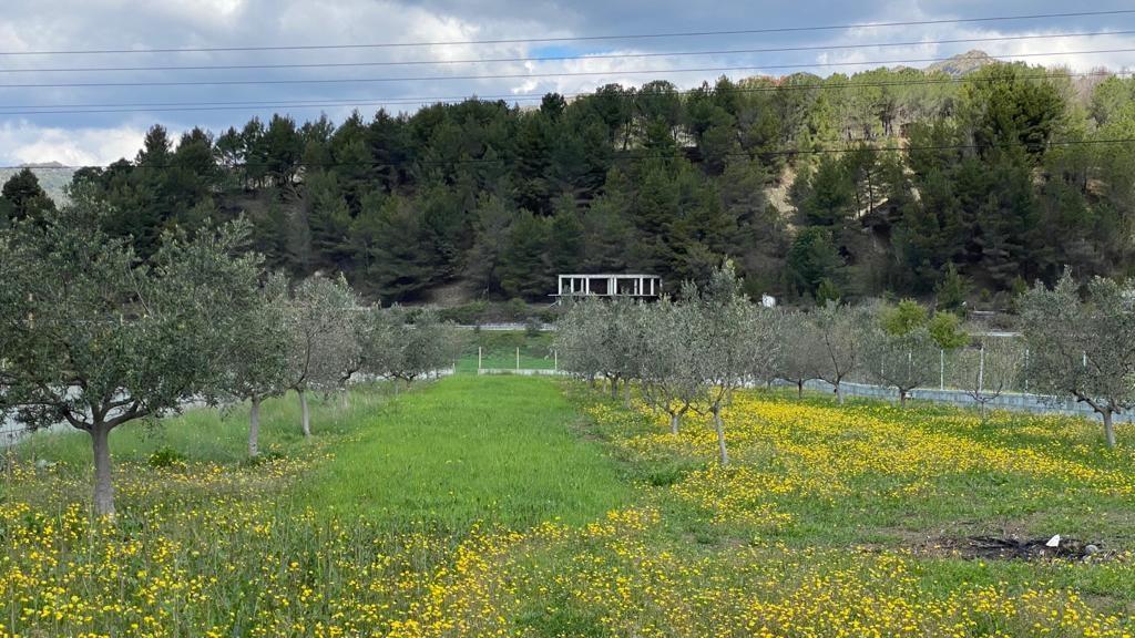 NDERROHET me apartament ne plazh