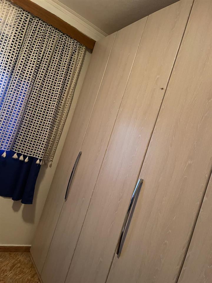 2+1 per qira ne Zog te Zi