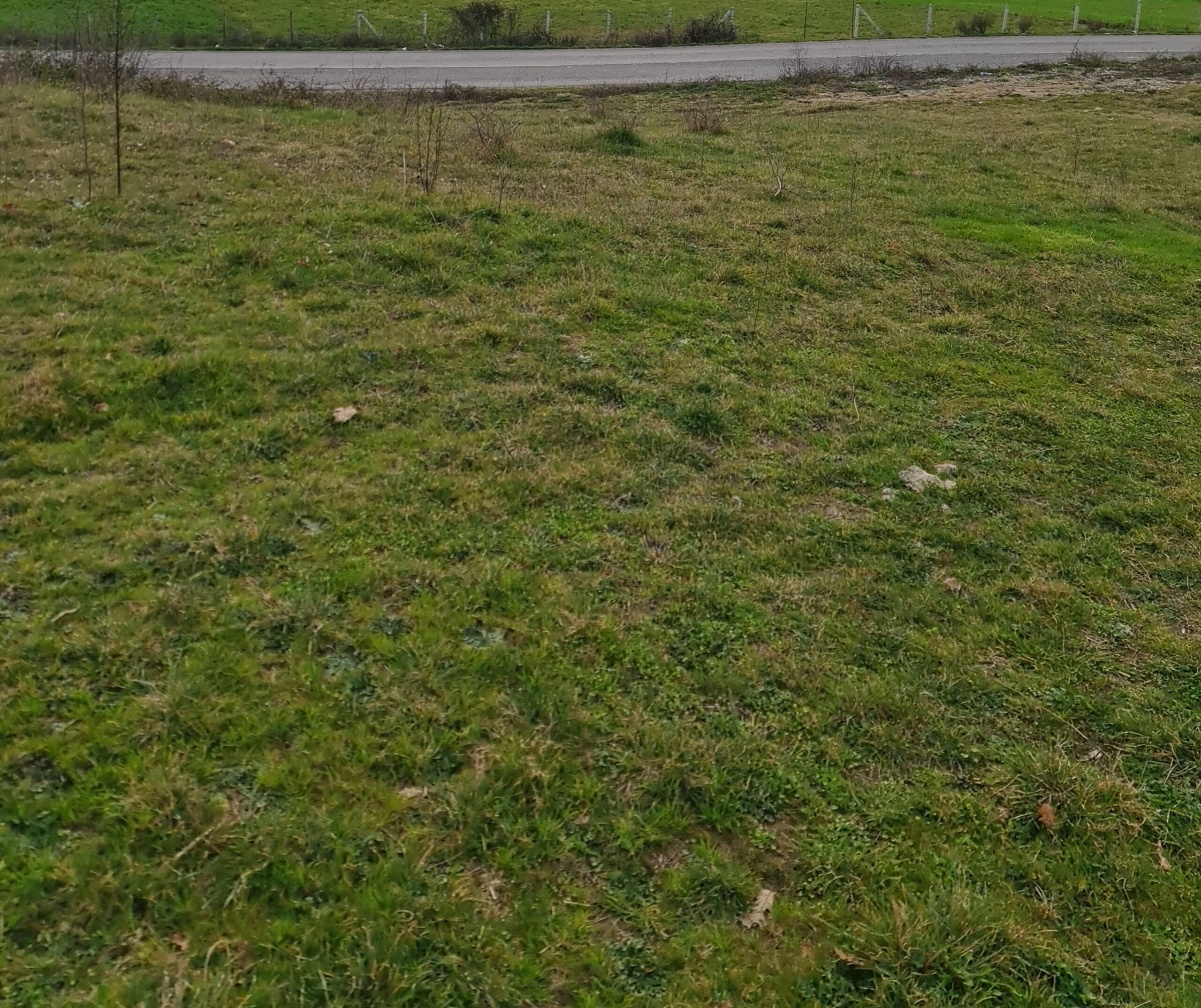 Shitet toke are vishaj 3000 m/2