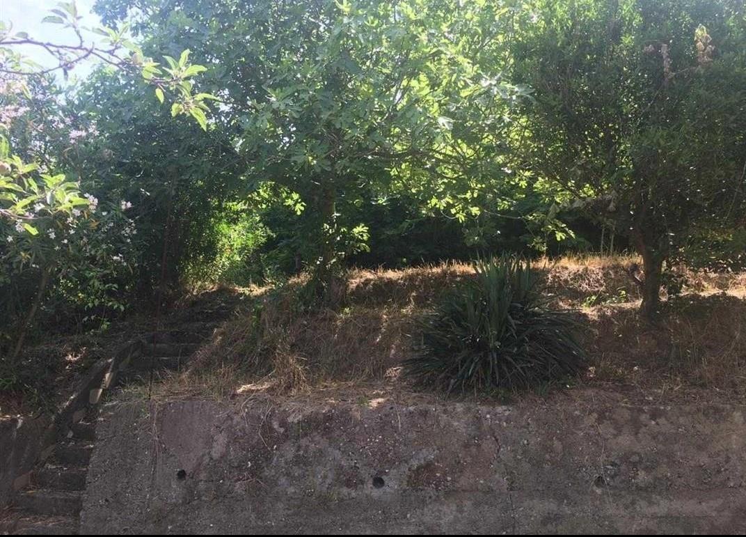 Okazion, super prone, cesma e ferres, ish reparti ushtarak