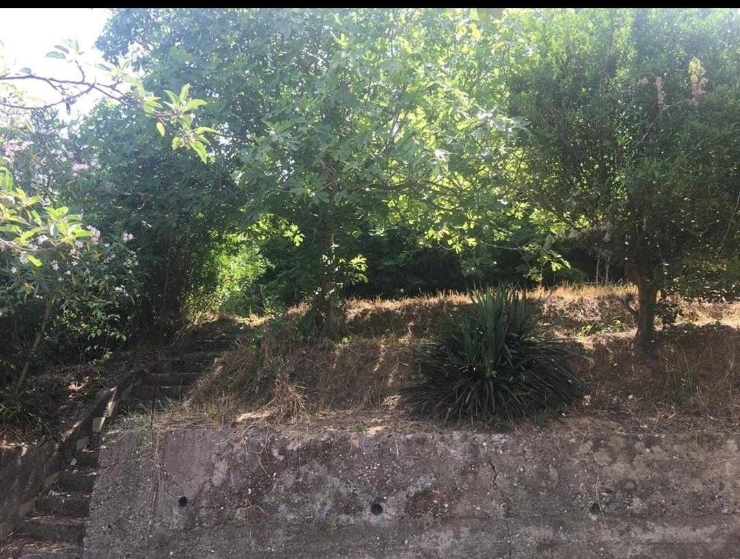 Okazion, super prone, cesma e ferres, ish reparti ushtarak