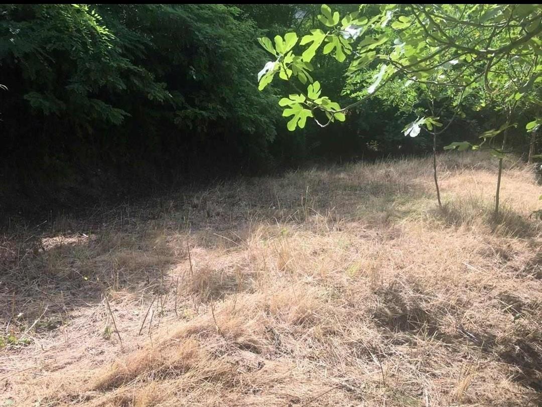 Okazion, super prone, cesma e ferres, ish reparti ushtarak