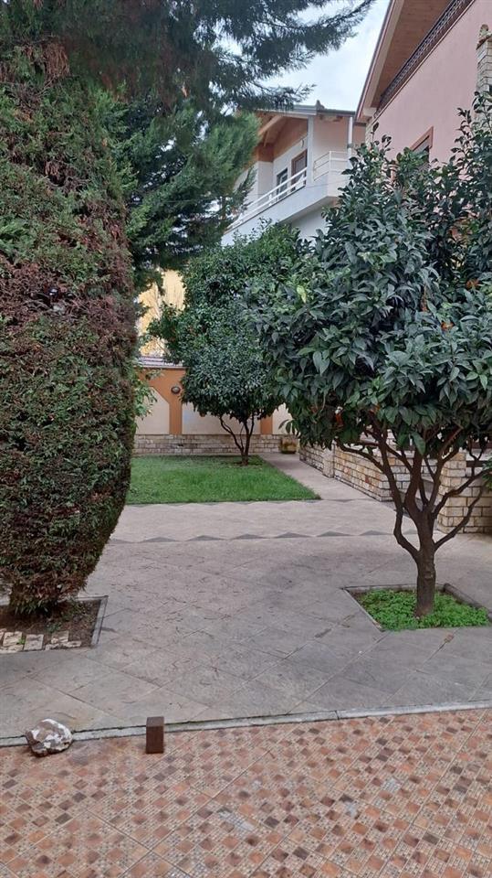 Shitet VILA (me letra te rregullta)