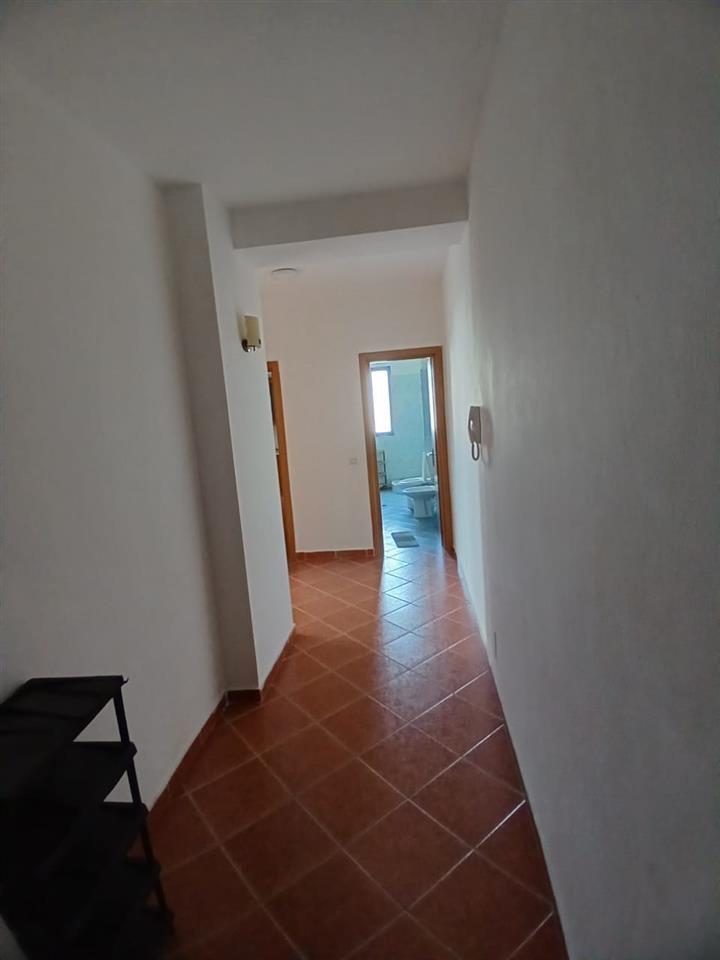 !!!!!ESHTE DHENE !!!! 1+1