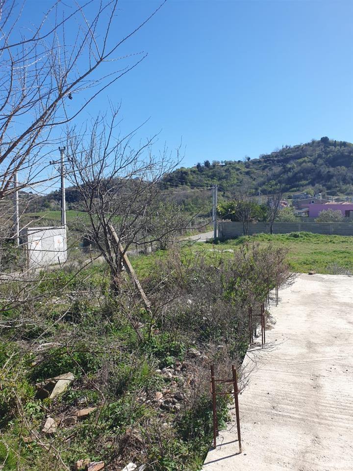 SHTEPI E VJETER,SHETAJ KEPI RODONIT