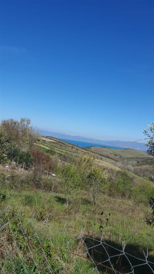 SHTEPI E VJETER,SHETAJ KEPI RODONIT