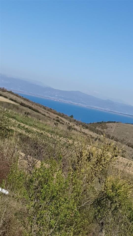 SHTEPI E VJETER,SHETAJ KEPI RODONIT