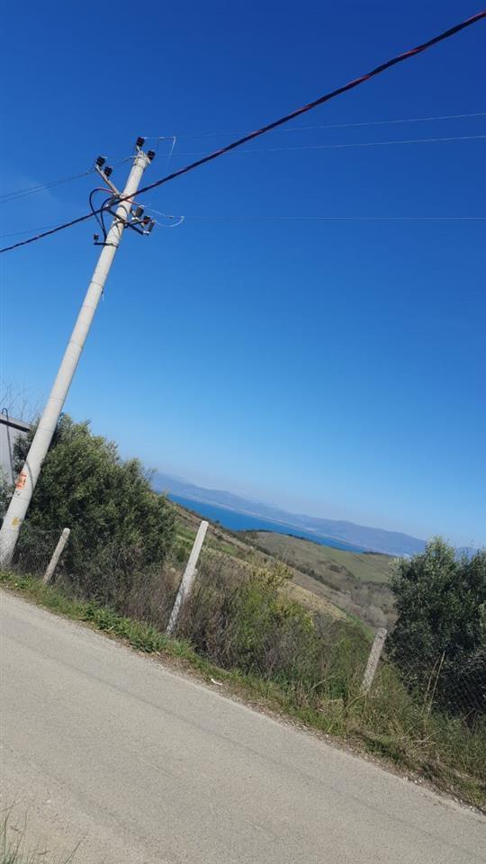 SHTEPI E VJETER,SHETAJ KEPI RODONIT