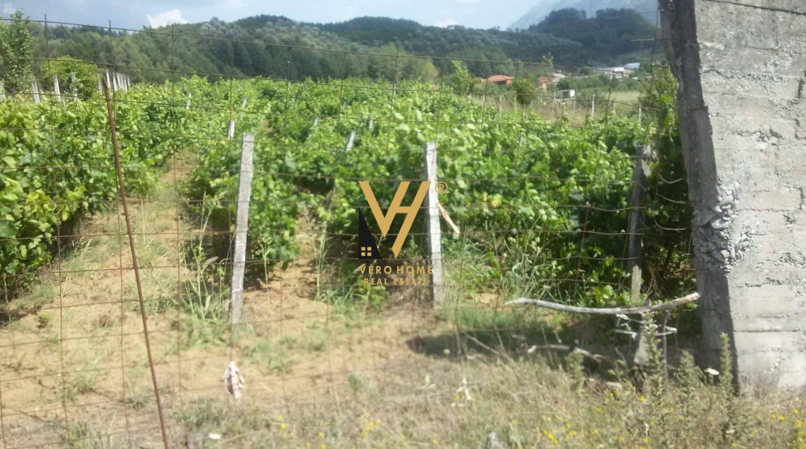 TRUALL DHE VRESHT 4.154 M2 NE PERMET 85.000 EURO