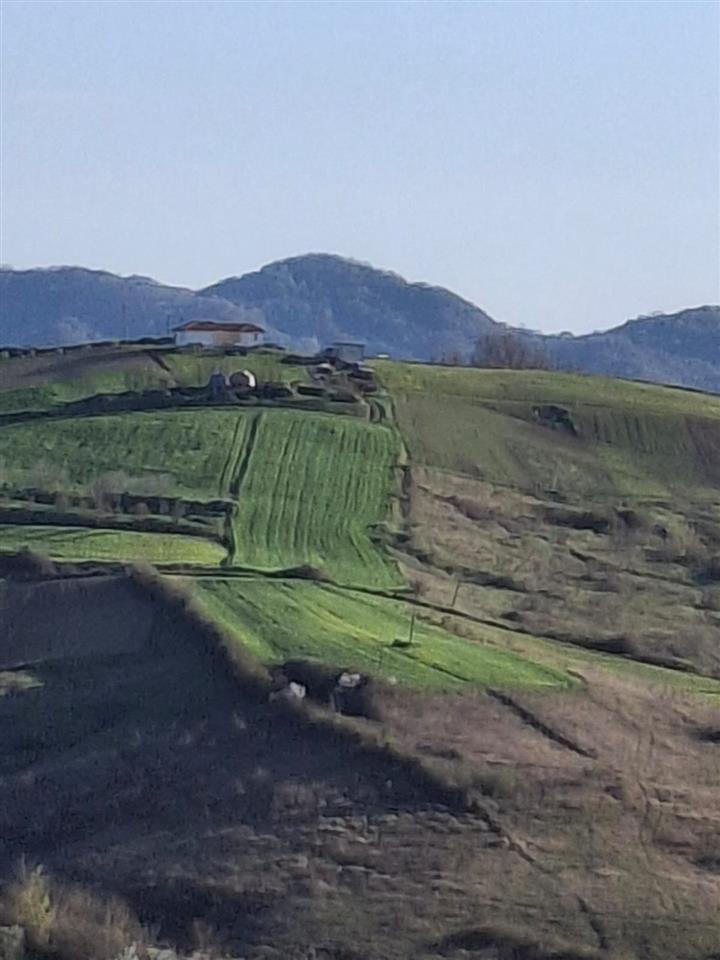 Toke per shitje 5.5 euro m2 okaziooooo