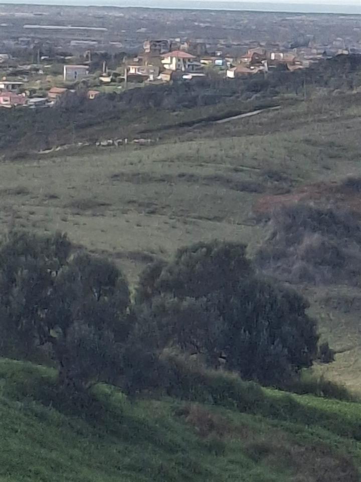 Toke per shitje 5.5 euro m2 okaziooooo