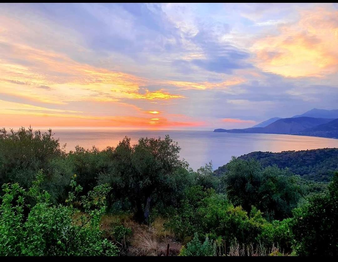 Piqeras bregdet.Shitet truall+ndertes