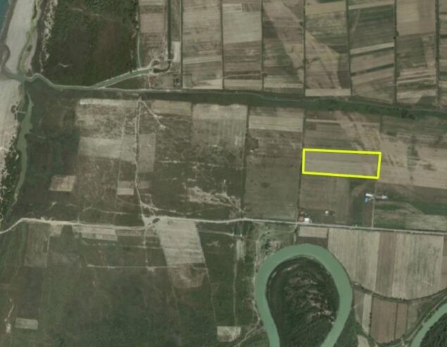 Vile Bashtove,Shitet toke ,1.4 km larg detit ,Kavaje.