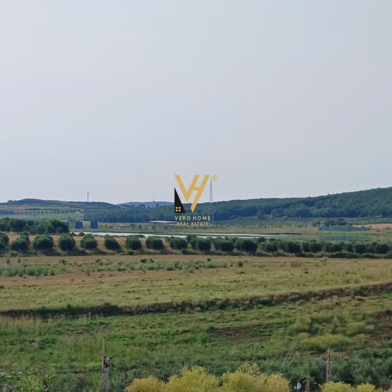 TOKE VRESHT 7.650 M2 NE BELSH 115.000 EURO