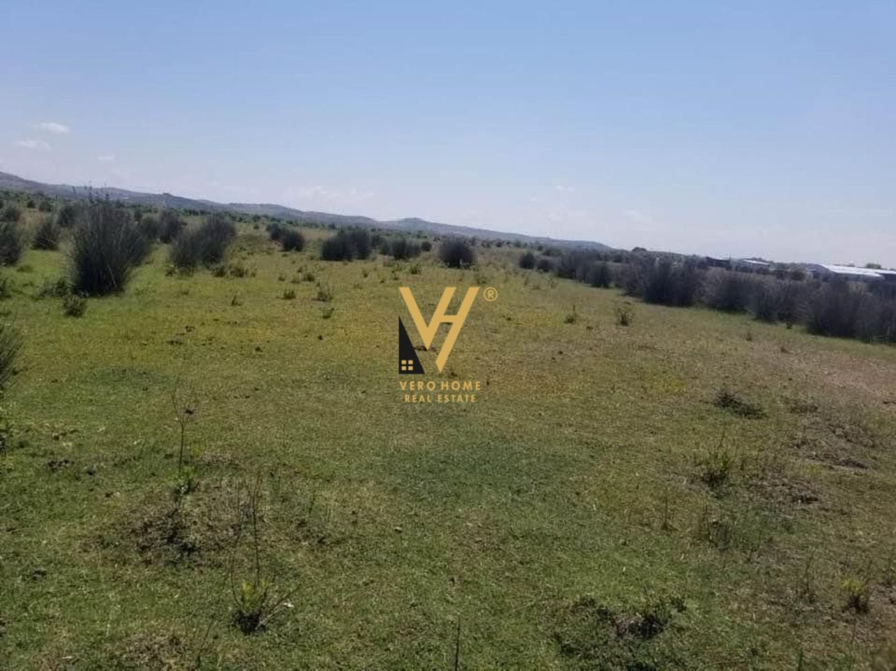 TOKE ARE 10.000 M2 NE VLORE 26.000 EURO