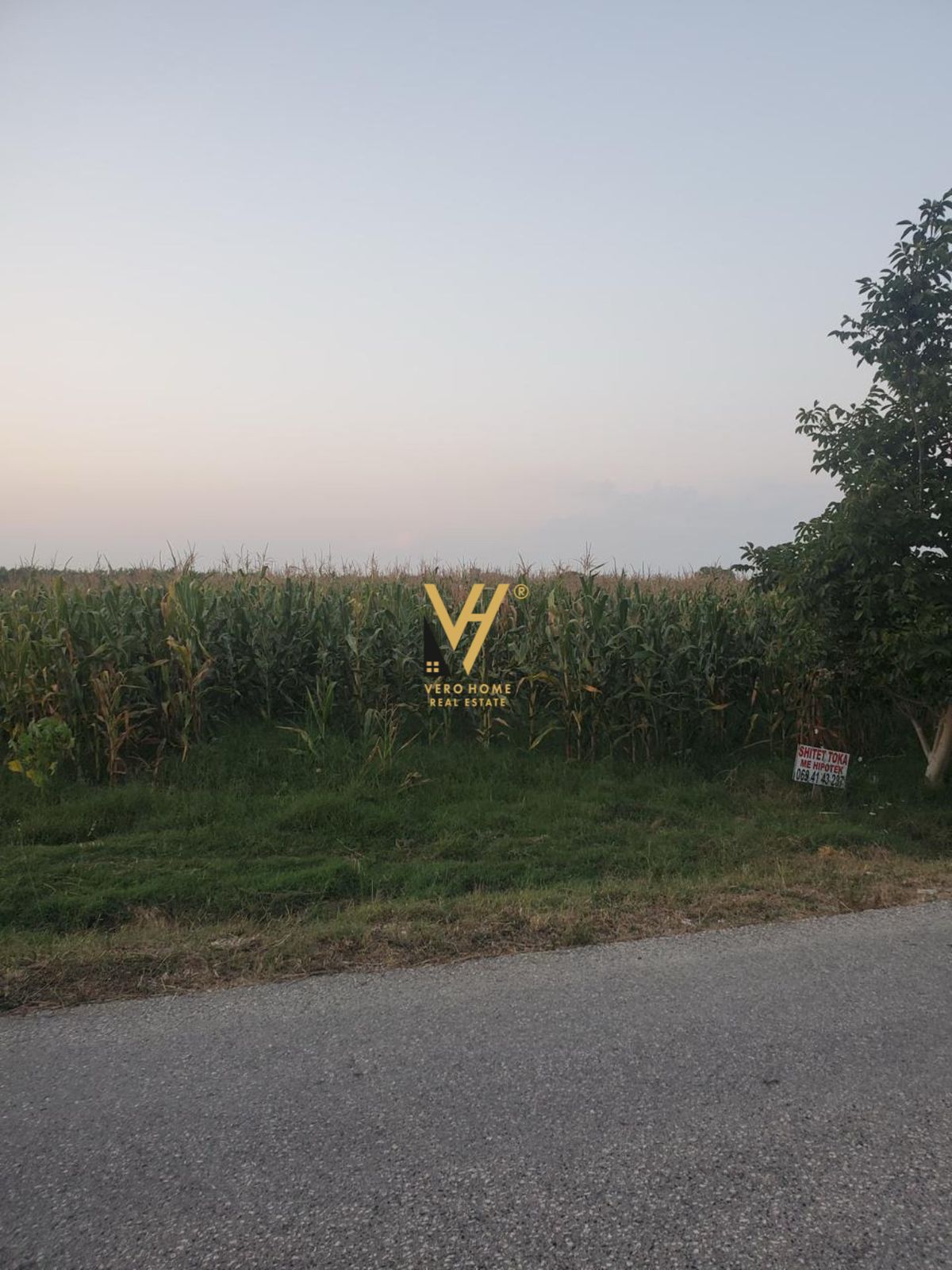 TOKE 11.000 M2 NE FIER 227.000 EURO