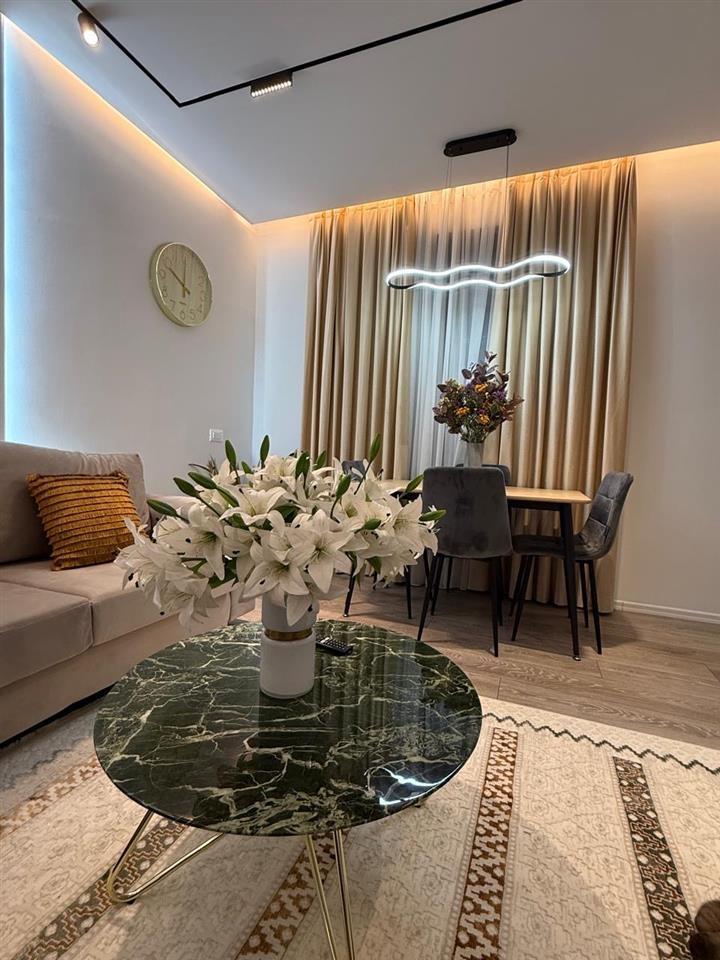 Shtëpi me qera Deluxe 1+1 Bulevardi I ri (ish shtacioni I tr