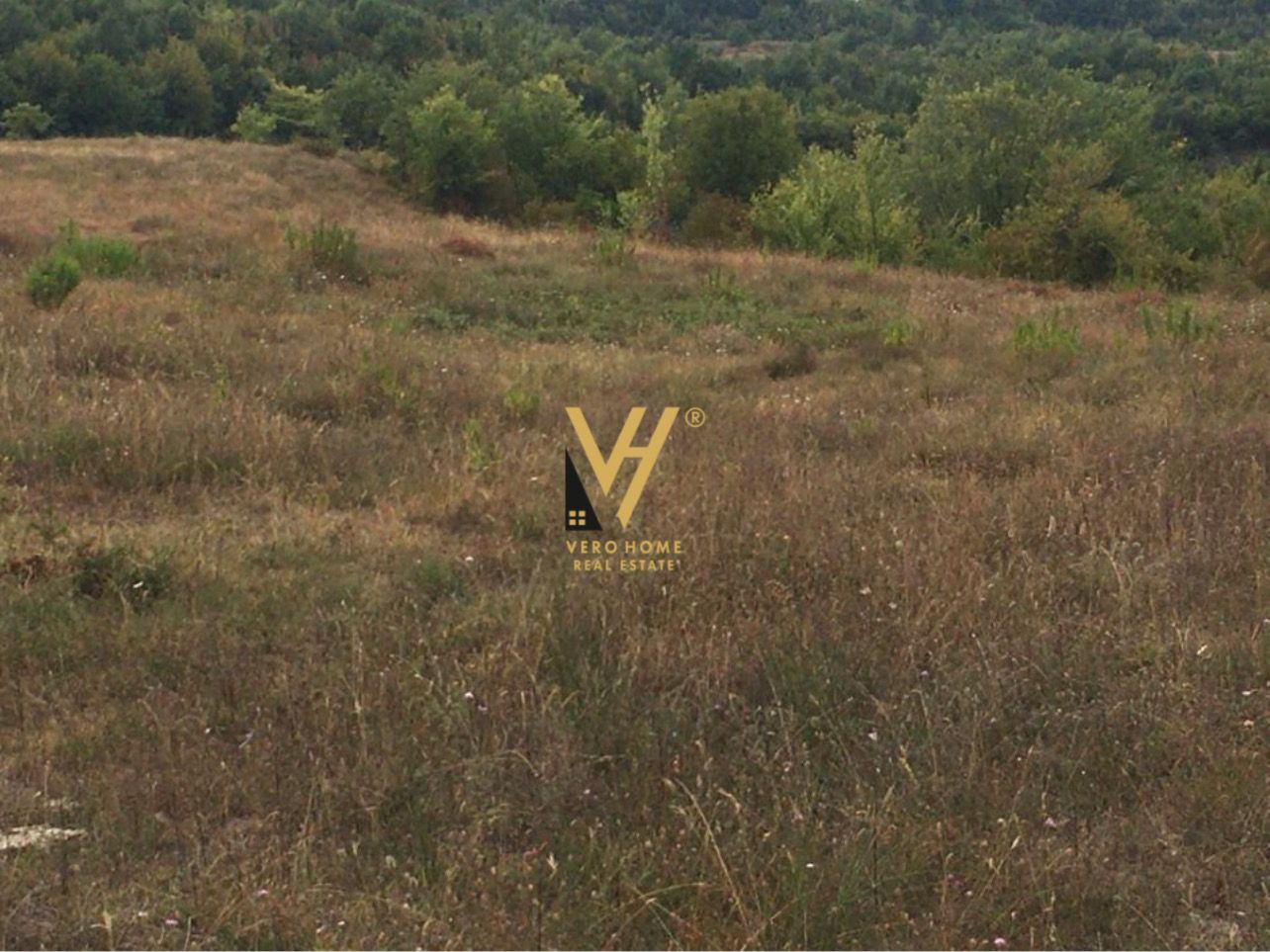 TOKE 5.500 M2 NE GURE E VOGEL 275.000 EURO